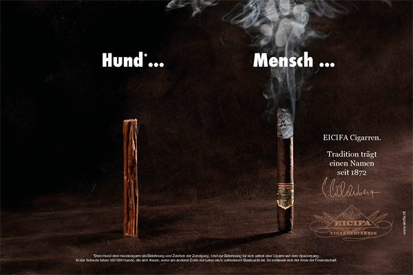 Cigarren auf Erfolgskurs...