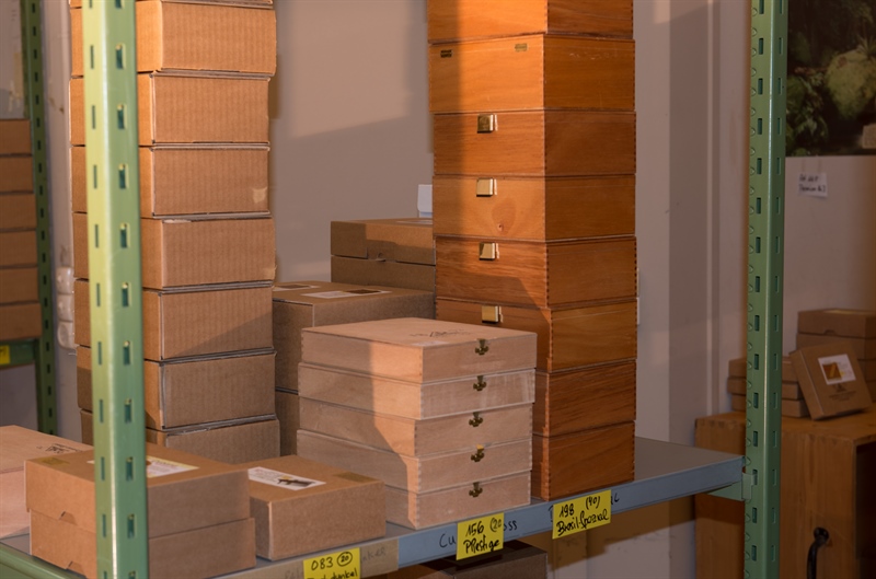 neue soft Version von erhältlich4